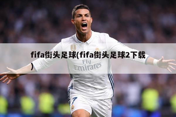 fifa街头足球(fifa街头足球2下载)