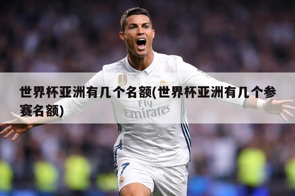 世界杯亚洲有几个名额(世界杯亚洲有几个参赛名额)