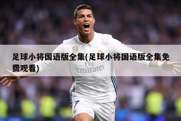 足球小将国语版全集(足球小将国语版全集免费观看)