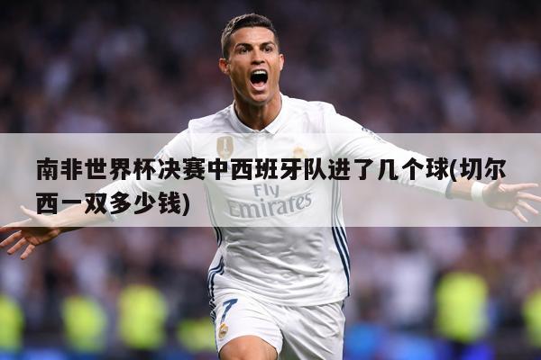 南非世界杯决赛中西班牙队进了几个球(切尔西一双多少钱)