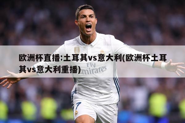 欧洲杯直播:土耳其vs意大利(欧洲杯土耳其vs意大利重播)